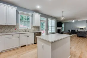 Luxurious Mini Mansion - Image 2