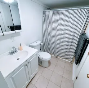 4BD 2BA - Mount Snow VT - Ski-Back Trail - Shuttle - Image 3