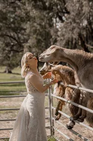 Farmstay Retreat\nFamily cottage Child & Pet friendly or\nOma's romantic Retreat - Image 3