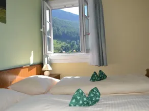 Room \"Auernig\" - Pension Thalerhof - Image 4
