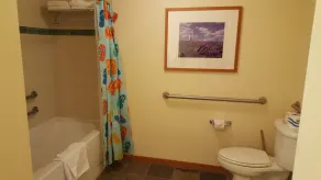 VILLAGE , WHITE MOUNTAIN LODGE #2125,  2 BEDS & 2 BATHS - Image 4