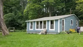 Heron Hideaway: Lamoka Cottage m / Privat 3/4 Acre Lot, 135 'Flat Lakefront - Image 5