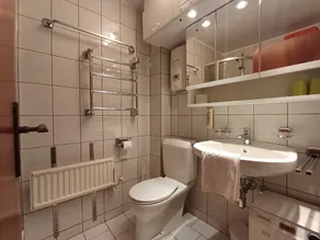 Apartment Barbara in Maishofen - Image 4