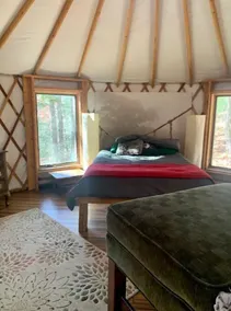 Three-story Blue Ridge Yurt getaway - Image 5