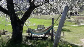 Farm❤ - Image 4