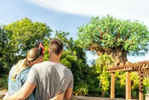 Copper Creek Villas and Cabins at Disneys Wilderness Lodge - Image 4