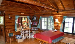 WATERFRONT LAKE CABIN - Nestled 15' Feet Away from Water On 150' Peninsula - Image 3