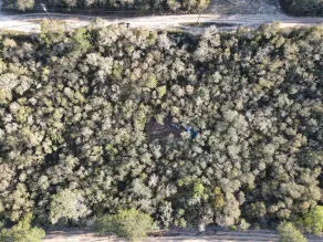 Peaceful campsite -head of Ocala National Forest trails. - Image 4