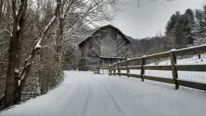 The Cottage In Quiver Full Farm - Image 5