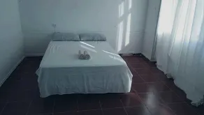 Ayurvida - Image 1