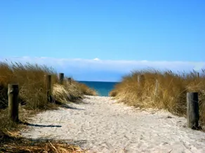 Apartamento / 22 m² - pequeno apartamento em um pescador Hiddensee - Image 3