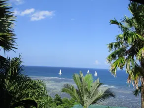 Monolocale in giardino tropicale, vista unica, molto vicino alla spiaggia - Image 2