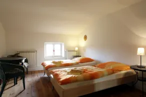 Maison de Maitre - Vue Pyrénées - Image 4