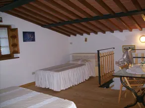 Gamle ovn omgivet af oliventræer og blomster i Matraia - Image 5