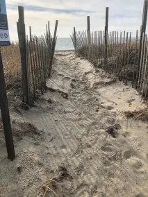 Falmouth Breezes on the Cape - Image 4