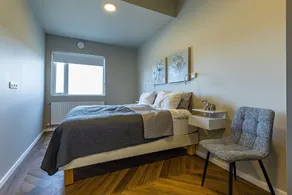 ICELAND SJF APARTMENTS -201 Free parking Downton Reykjavík - Image 4