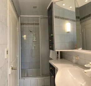 Chateau med opvarmet pool, sauna i nærheden af Poitiers og vinmarkerne i Chinon - Image 5