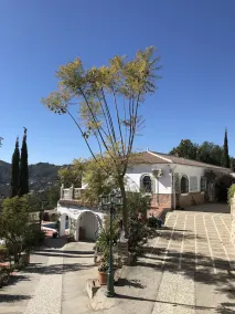 Casa Biontica - Image 4