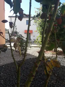Pensión Matarraña - Image 2