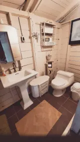 Private Island, 5 Homes, 2 HotTub, Boat -Sleeps 17 - Image 4