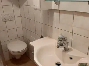 Ferienwohnung Schlesinger - Image 3