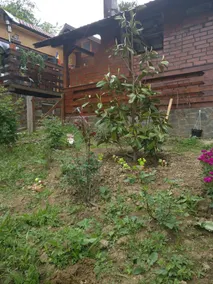 Familie SPA, PRIVAT Sauna & JACUZZI Chalet - Image 4