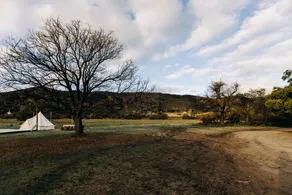 A Little Blue Farmhouse:TemeculaWine Country Farm - Image 4