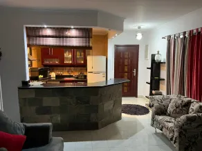 Modern rehab city apartment - Image 3