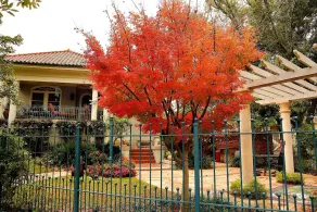 The Laurel Bed And Breakfast - Image 5
