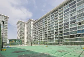 Palazio - Image 2