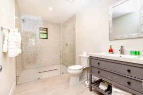 Wonderkoi - Oasis with Pool and Koi Ponds in Miami - Image 2
