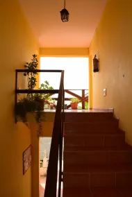 Aparthotel Ixola - Image 2