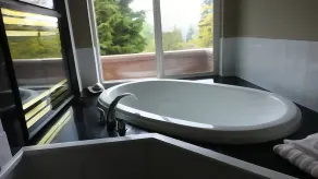 Everyone Welcome, Cozy retreat walking distance to  Butchart Gardens. - Image 3