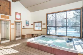 Telluride Lodge 311 by AvantStay - Image 2