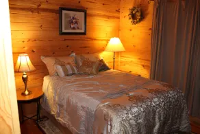 Herbstspaß in der Hütte! Bequem zu Lake Keowee und Clemson - Image 2