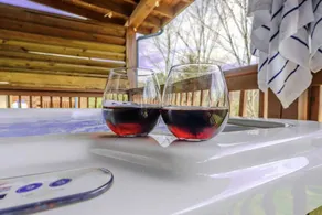 February Specials 3br-hot Tub-pet Friendly - Image 2