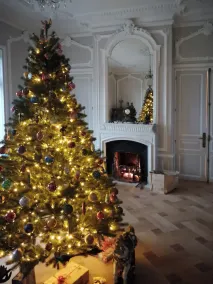Chateau des Berangers - Image 2