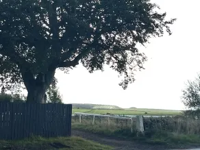 Belstane Manor - Image 3