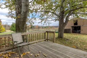 Bonnie's Guesthouse @ Peridot Equine Sanctuary - Image 5