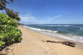 Islander on the Beach 259 "Drift Away" A Oceanview Studio - Image 4