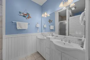 Dolphin Dreams - Image 3