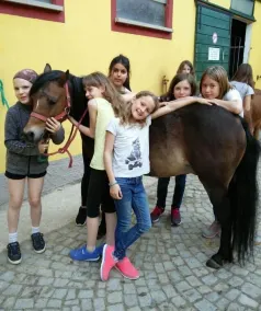 Perfect for horse lovers and those seeking relaxation - vacation apartment on the riding stables with steam bath, sauna and relaxation room - Image 2