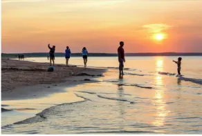 Adorable oceanfront 2 bedroom cottage plus bunkhouse - 15 min to Charlottetown - Image 4
