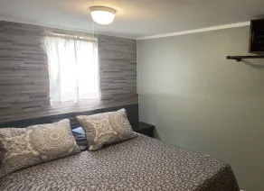 Lakeview  pet friendly - Image 3