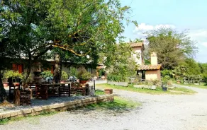 San Filippo - Image 5