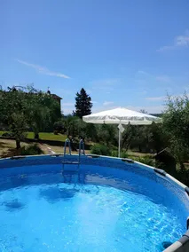 Il Pintello - La Lepre - Image 5