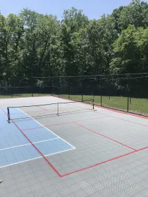 PICKLEBALL, Heated Pool, Game Room, Outdoor Oasis, Tennis, Basketball, & woods! - Image 4