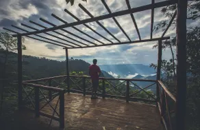 After The Rains,Wayanad - Image 4