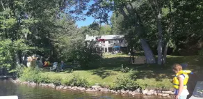 Child/Pet Friendly Cottage Loon Calls - Zoom Calls - Image 2