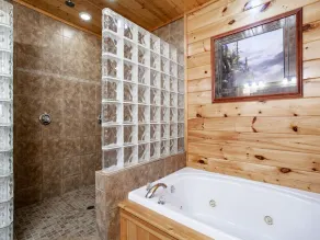 Million Dollar View - Hot Tub, and Sauna! - Image 2